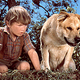 Illustration for article titled Cockblocked By Old Yeller. GREAT MOMENTS IN DRUNKEN HOOKUP FAILURE